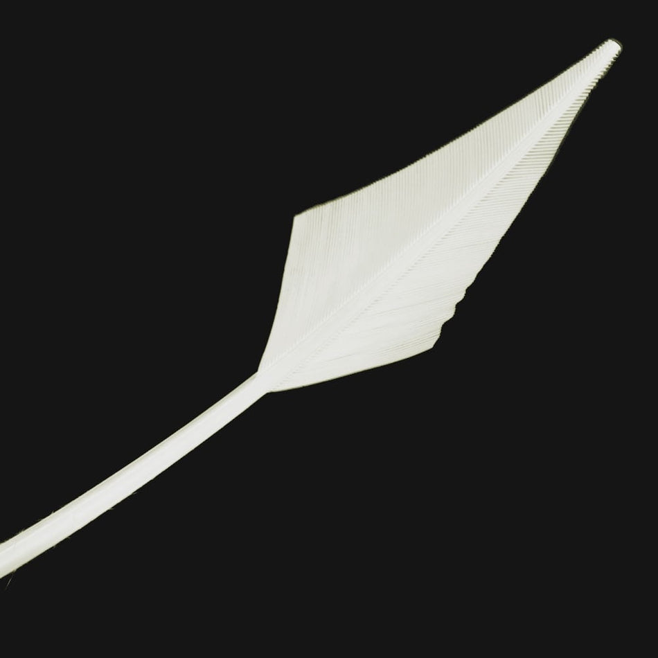 Turkey Feather Arrowhead