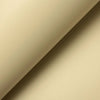 Wonderflex Pro Thermoplastic