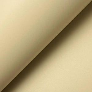 Wonderflex Pro Thermoplastic