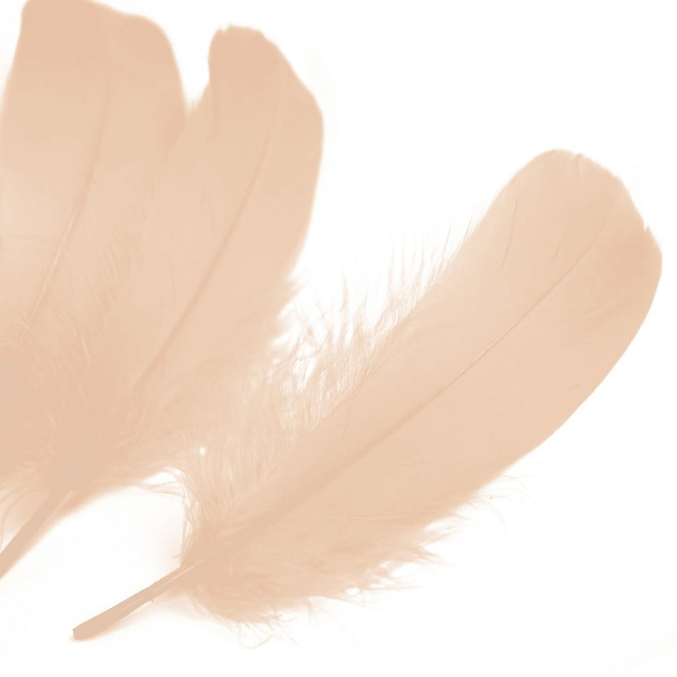 Goose Nagoire Feather (24 Pack)