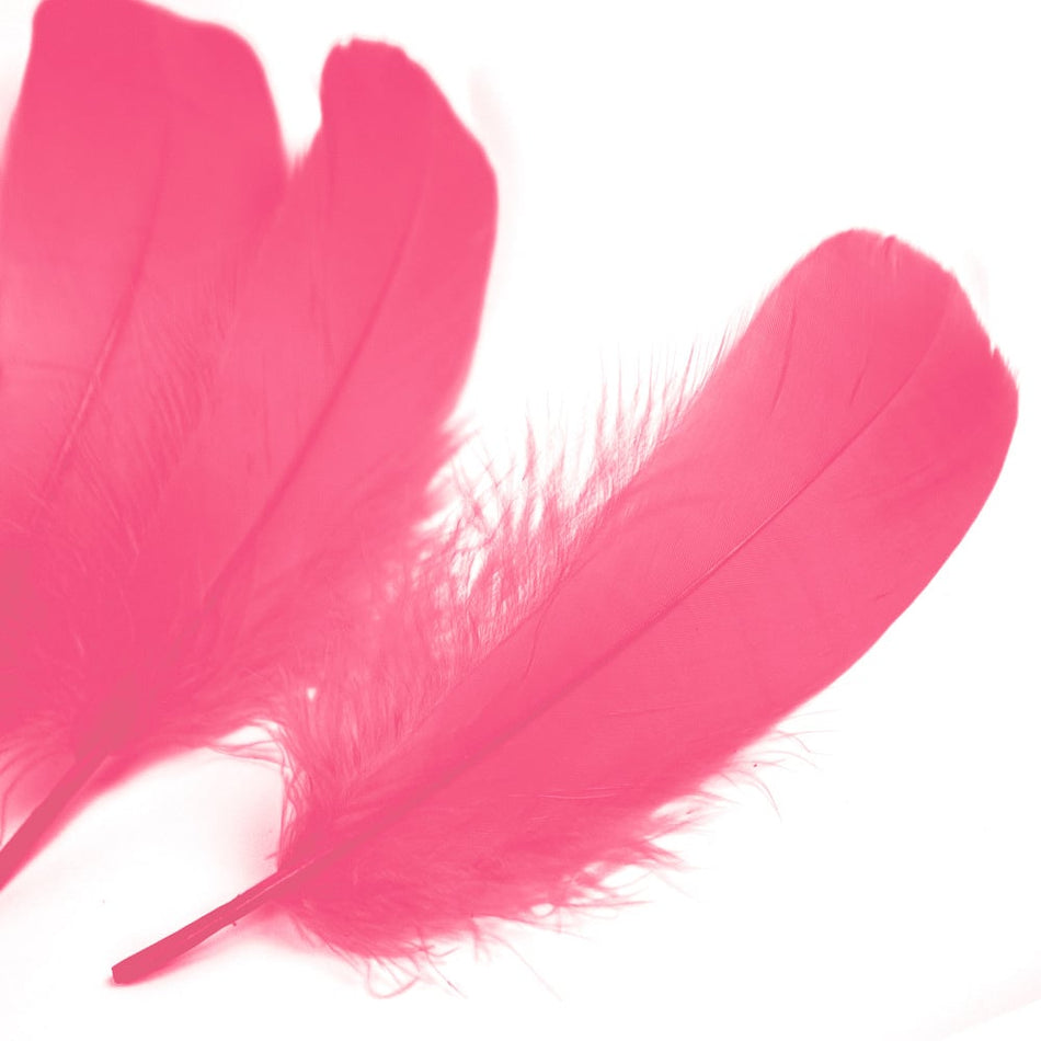 Goose Nagoire Feather (24 Pack)