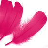 Goose Nagoire Feather (24 Pack)