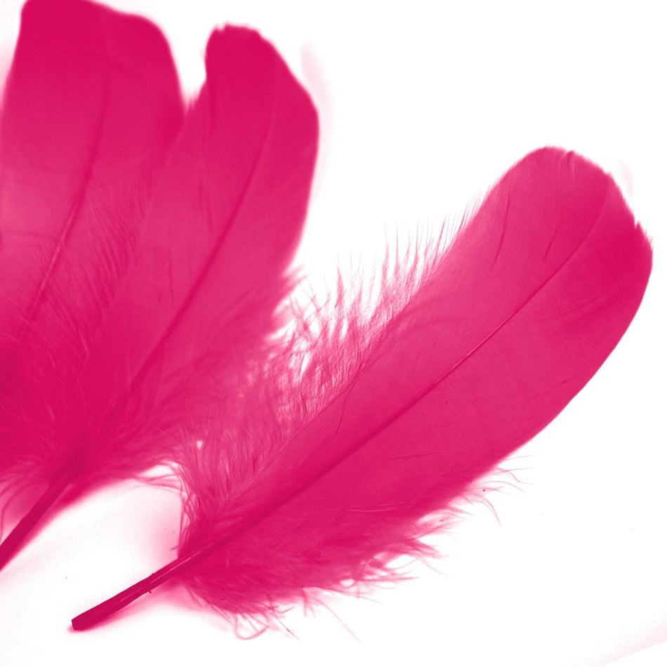 Goose Nagoire Feather (24 Pack)